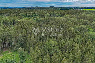 Land-/Forstwirtschaft zum Kauf 239.500 € 19.157 m² Grundstück Steinebach Wörthsee 82237