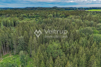 Land-/Forstwirtschaft zum Kauf 239.500 € 19.157 m² Grundstück Steinebach Wörthsee 82237