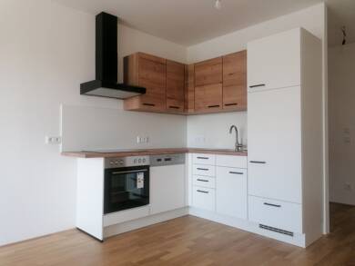 Wohnung zur Miete 1 Zimmer 41,9 m² 2. Geschoss Ibm 5142