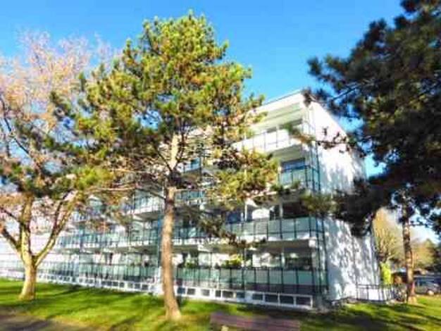 Wohnung zur Miete 695 € 2 Zimmer 55 m² 1. Geschoss frei ab 25.01.2027 Lenaustraße 9 Keldenich Wesseling 50389
