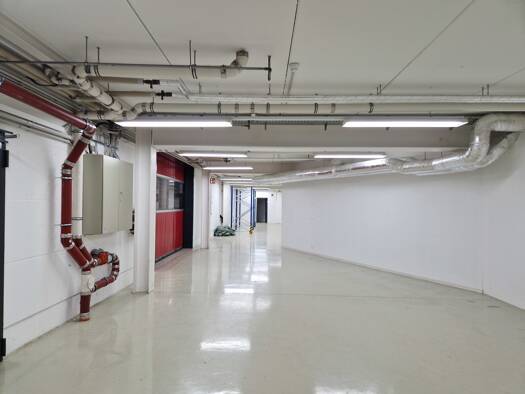 Lagerhalle zur Miete 2.100 € 390 m² Lagerfläche Saarbrücken 66130