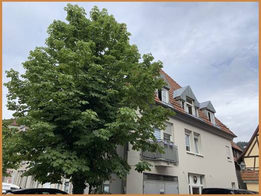 Wohnung zur Miete 590 € 2 Zimmer 62 m² 3. Geschoss Zell Zell am Harmersbach 77736