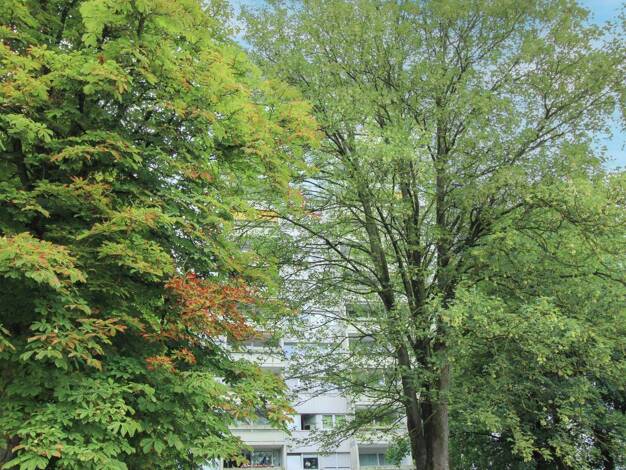 Sonstiges zum Kauf als Kapitalanlage geeignet 240.000 € 3 Zimmer 80 m² 1.815 m² Grundstück Ludwigsfeld Neu-Ulm 89231