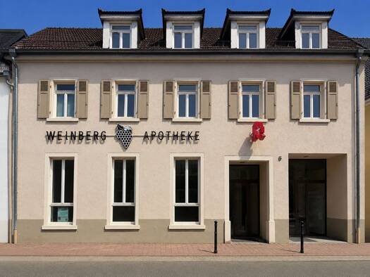 Verkaufsfläche zur Miete provisionsfrei 2.200 € 169 m² Verkaufsfläche Mauer 69256