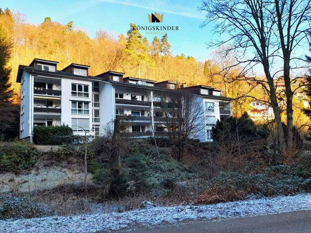 Wohnung zum Kauf provisionsfrei 149.900 € 2,5 Zimmer 60 m² Schönau 69250