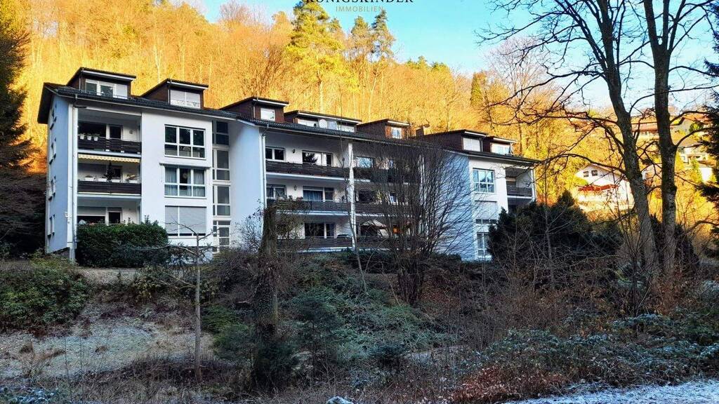 Wohnung zum Kauf provisionsfrei 149.900 € 2,5 Zimmer 60 m² Schönau 69250