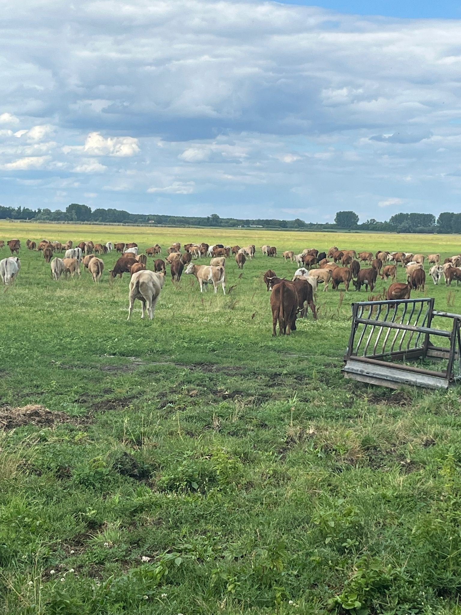 Landwirtschaftliche Fläche zum Kauf 3.700.000 m²<br/>Fläche 1.400.000 m²<br/>Grundstück Berge Nauen 14641