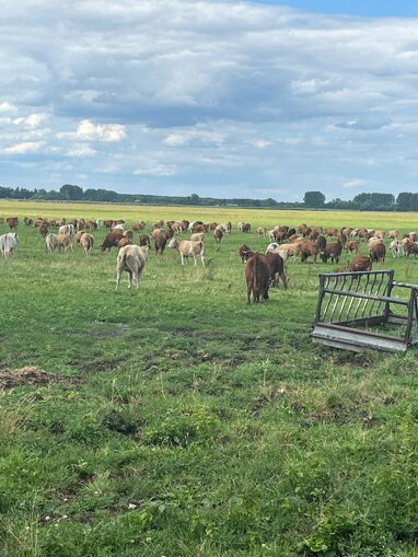 Landwirtschaftliche Fläche zum Kauf 3.700.000 m² 1.400.000 m² Grundstück Berge Nauen 14641