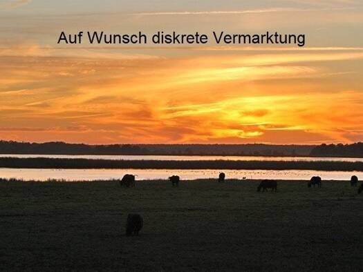 Bauernhaus zum Kauf 759.000 € 8 Zimmer 280 m² 2.200 m² Grundstück Wieck a. Darß 18375