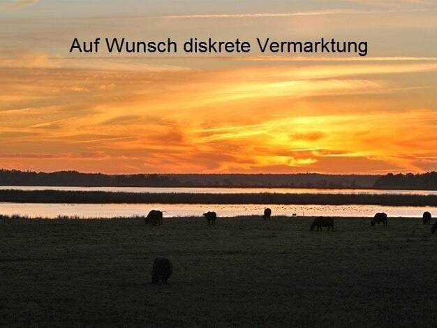Bauernhaus zum Kauf 759.000 € 8 Zimmer 280 m² 2.200 m² Grundstück Wieck a. Darß 18375