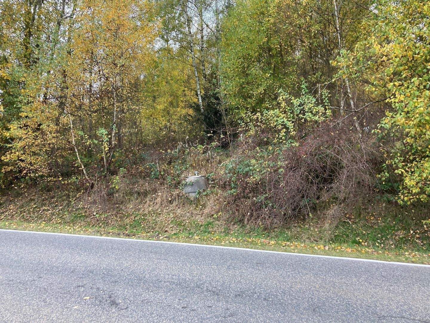 Immobilie in Neukirchen beim Heiligen Blut - Sanierungsbedürftiges Einfamilienhaus - im Außenbereich - selten erwerbbar - Bild 2