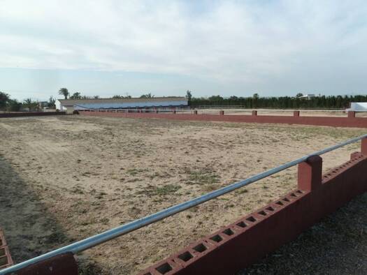Acker-/Waldstück zum Kauf 455.000 € CV-95 0 San Miguel de Salinas 03193