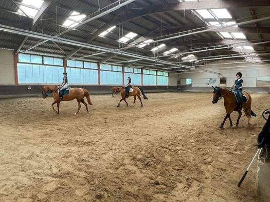 Reiterhof zum Kauf 1.390.000 € Rheinauweg 65 Höchst 6973