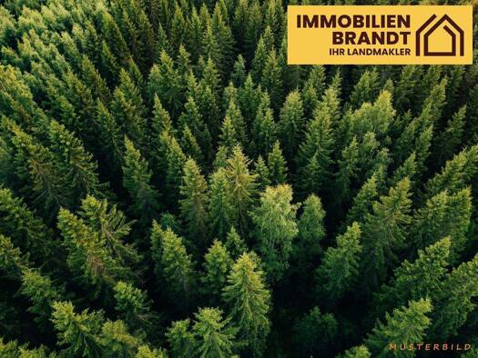 Forstwirtschaft zum Kauf 11.200 m² Grundstück Neu Farpen Neuburg 23974
