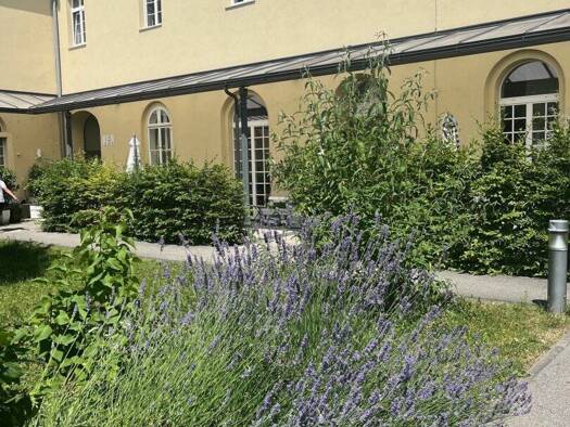 Wohnung zur Miete 697 € 3 Zimmer 88 m² Kienzlstraße Wels Wels 4600