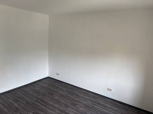 Wohnung zur Miete 600 € 1,5 Zimmer 52 m² Geschoss 1/2 frei ab sofort Mundenheim Ludwigshafen am Rhein 67065