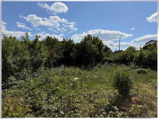 Grundstück zum Kauf 315.625 € 269 m² Grundstück Rommelshausen Kernen im Remstal 71394