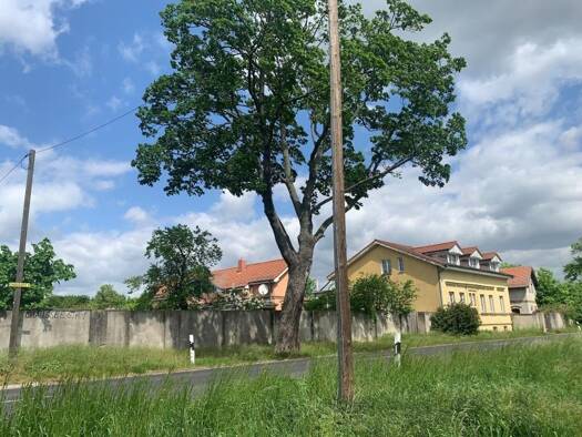 Immobilie zum Kauf 870.000 € 578 m² 13.287 m² Grundstück Rotberg Schönefeld 12529