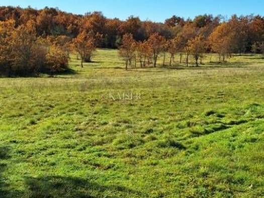 Acker-/Waldstück zum Kauf 150.000 € Višnjan Višnjan 52463