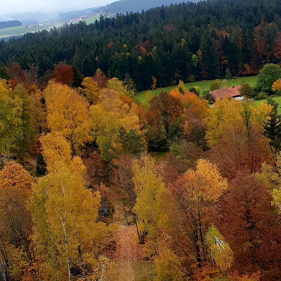 Gewerbegrundstück zum Kauf 990.000 € 35.000 m²<br/>Grundstück Neuhütte Spiegelau 94518