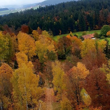 Gewerbegrundstück zum Kauf 990.000 € 35.000 m² Grundstück Neuhütte Spiegelau 94518