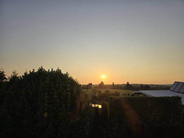 Einfamilienhaus zum Kauf provisionsfrei 1.570.000 € 6 Zimmer 300 m² 1.770 m² Grundstück frei ab 01.07.2026 Innenstadt Pirmasens 66954