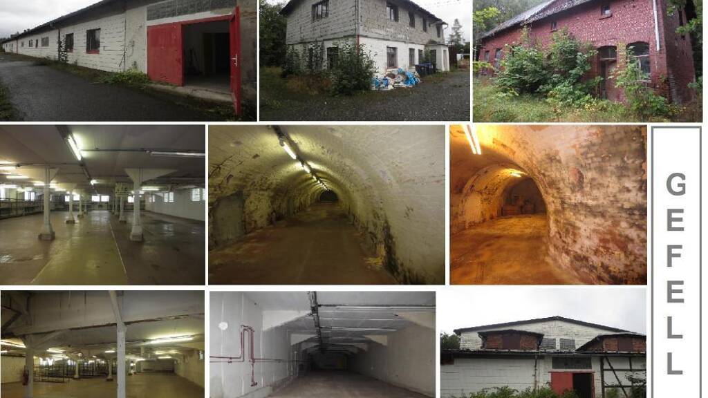 Grundstück zum Kauf 239.000 € 7.016 m² Grundstück Göttengrün Gefell 07926