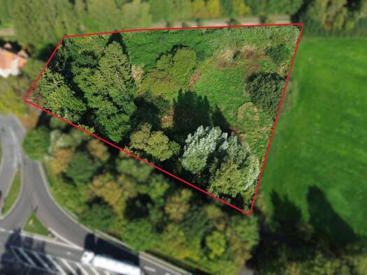 Grundstück zum Kauf 110.000 € 5.343 m² Grundstück frei ab sofort Großenmeer Ovelgönne 26939