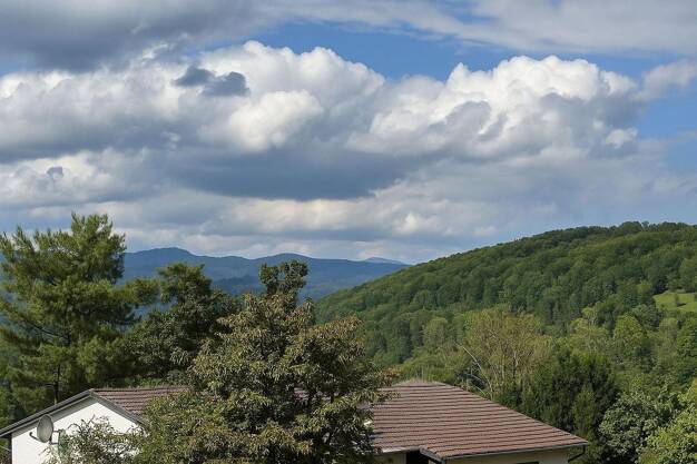 Wohnung zum Kauf provisionsfrei 1.492.000 € 3,5 Zimmer 169,6 m² EG Ost Lörrach 79539