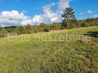 Land-/Forstwirtschaft zum Kauf 508.500 € Lindar