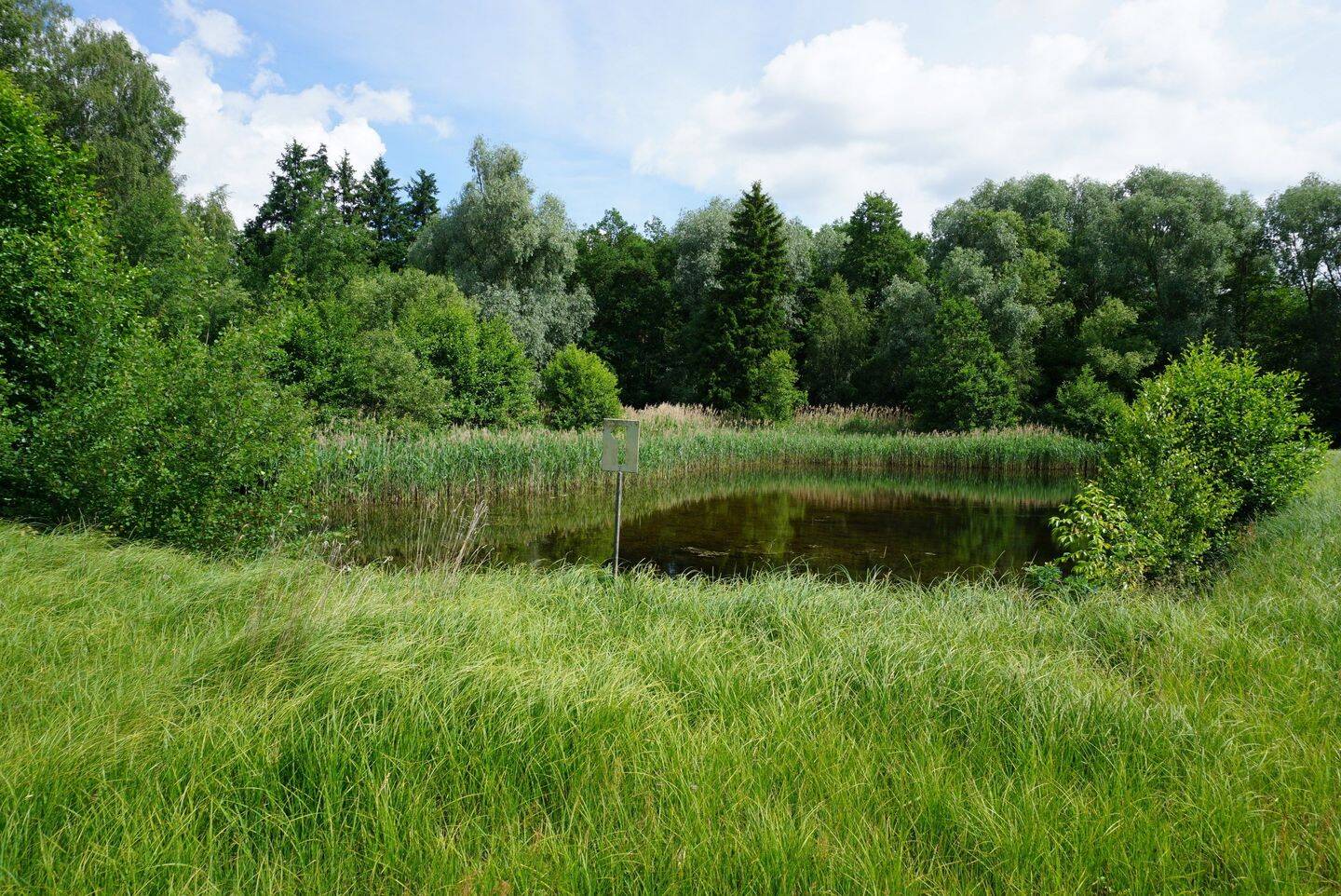 Land-/Forstwirtschaft zum Kauf - Ansicht 2
