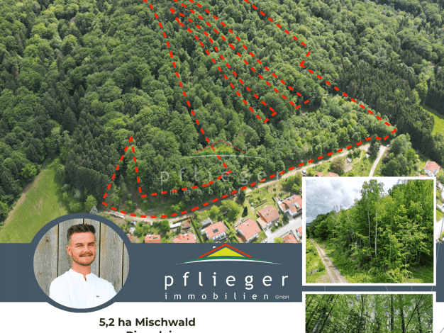 Land-/Forstwirtschaft zum Kauf 150.000 € 51.600 m² Grundstück Ringelai Ringelai 94160