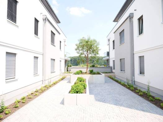 Studio zur Miete 1.250 € 3 Zimmer 92 m² EG frei ab 01.03.2026 Nierstein 55283