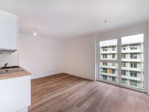 Wohnung zur Miete 519 € 2 Zimmer 46,3 m² 4. Geschoss frei ab sofort Waagner-Biro-Straße Lend Graz 8020