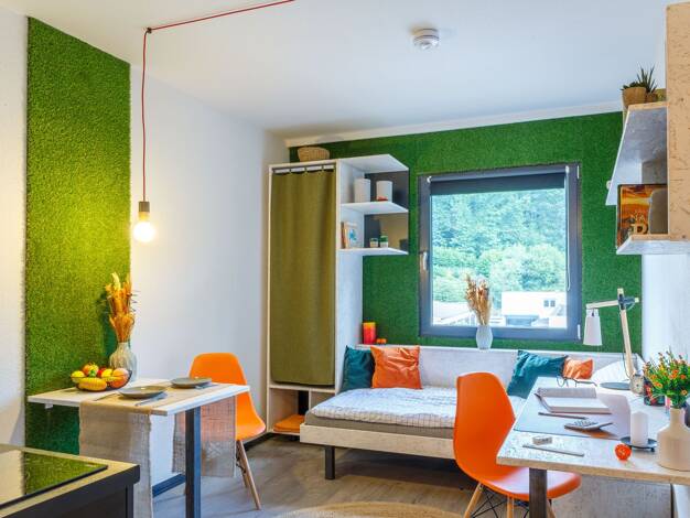 Wohnung zur Miete 390 € 1 Zimmer 20 m² 1. Geschoss Bürbach Siegen 57074