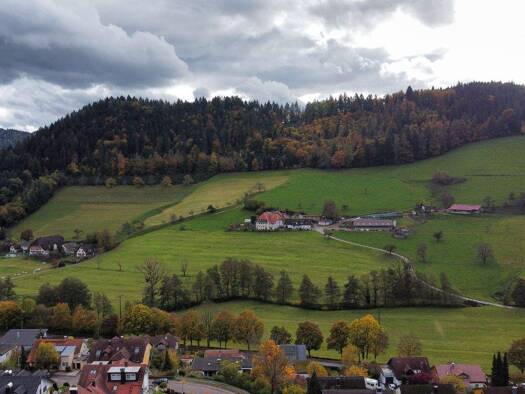 Mehrfamilienhaus zum Kauf als Kapitalanlage geeignet 244 m² 480 m² Grundstück Kollnau Waldkirch 79183