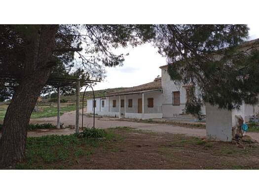 Bauernhaus zum Kauf 199.000 € 10 Zimmer 650 m² 367.400 m² Grundstück Yecla 00000