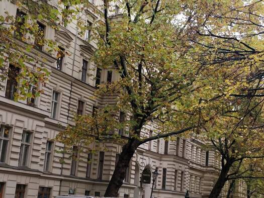 Terrassenwohnung zum Kauf 464.000 € 60,9 m² frei ab 01.01.2026 Husemannstraße 9 Prenzlauer Berg Berlin 10435