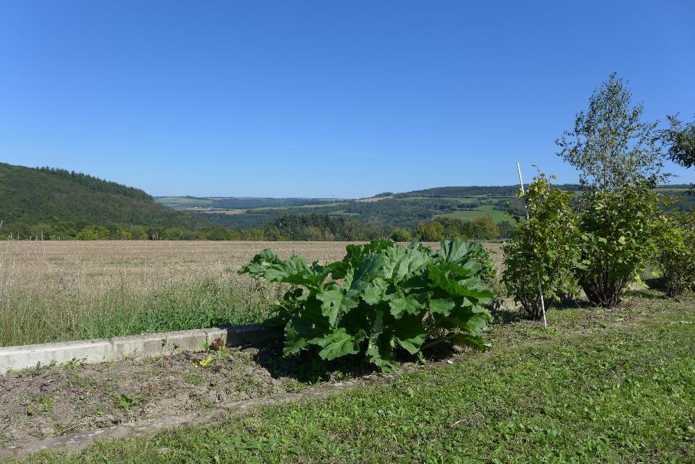 Mehrfamilienhaus zum Kauf 9 Zimmer 240 m²<br/>Wohnfläche 715 m²<br/>Grundstück Gusterath 54317