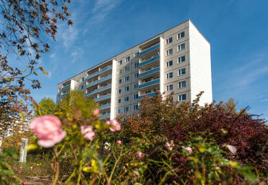 Wohnung zur Miete 320 € 3 Zimmer 57,1 m² 4. Geschoss frei ab 01.08.2025 Tangermünder Straße 17 Westliche Neustadt Halle (Saale) 06124