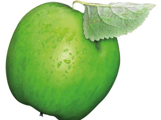 Penthouse zum Kauf 279.000 € 4,5 Zimmer 117 m² 3 Geschosse frei ab sofort Laineck Bayreuth 95448