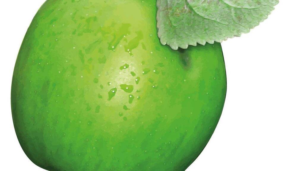 Wohnung zum Kauf 249.000 € 4,5 Zimmer 117 m² 3 Geschosse frei ab sofort Laineck Bayreuth 95448