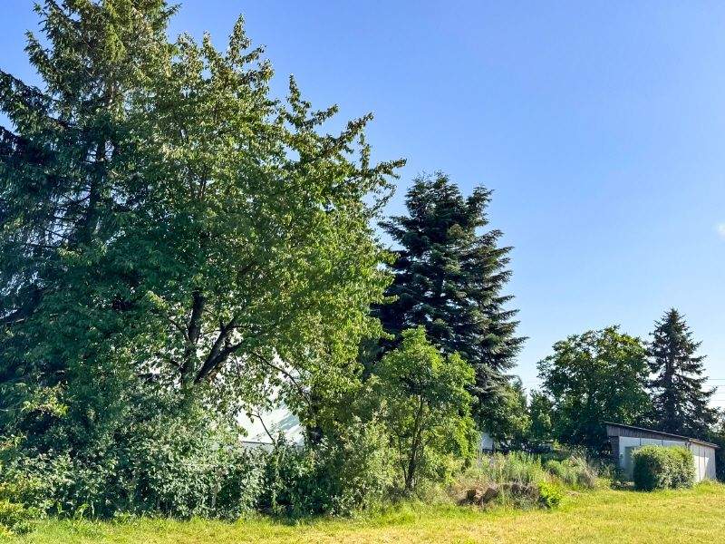 Einfamilienhaus zum Kauf - Ansicht 3