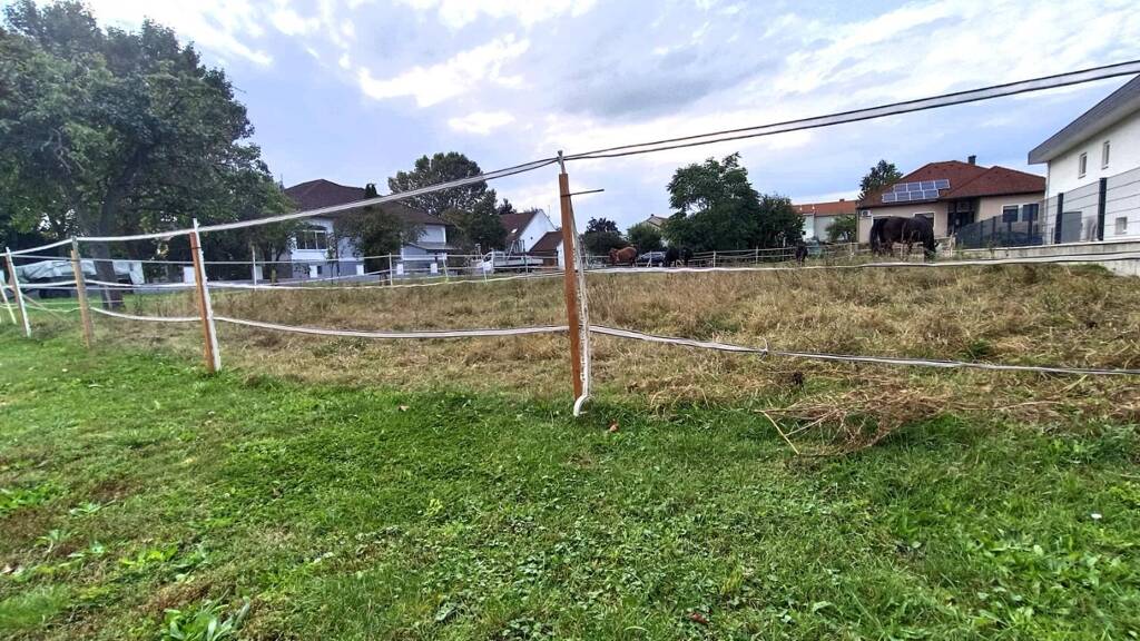 Grundstück zum Kauf 213.850 € 611 m² Grundstück Gols 7122