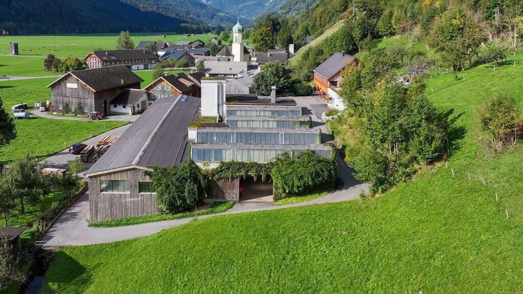 Halle/Industriefläche zur Miete 1.700 m² Lagerfläche Schnepfau 6882