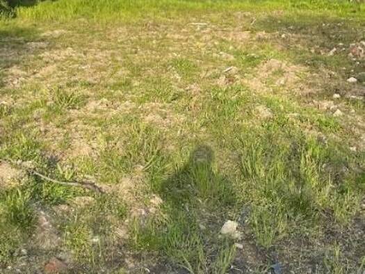 Grundstück zum Kauf 155.000 € 333 m² Grundstück Bestensee 15741
