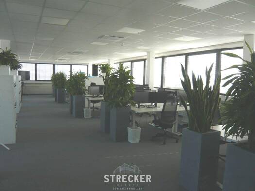 Bürofläche zur Miete 6,80 € 766 m² Bürofläche Beiertheim-Bulach Karlsruhe 76135