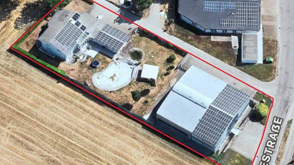 Werkstatt zum Kauf 2.200.000 € 200 m² Lagerfläche Wyhlen Grenzach-Wyhlen 79639