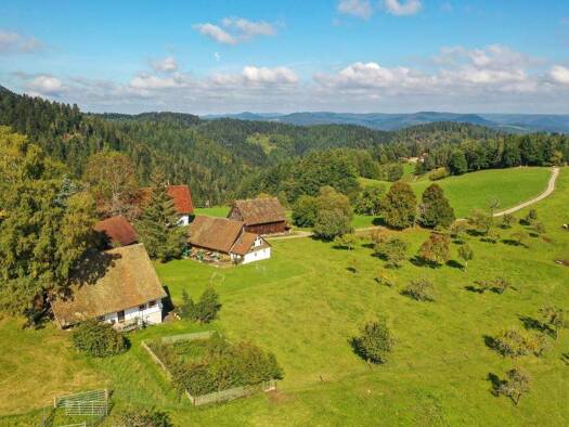 Haus zum Kauf 3.450.000 € 4 Zimmer 876.654 m² Grundstück Schiltach 77761