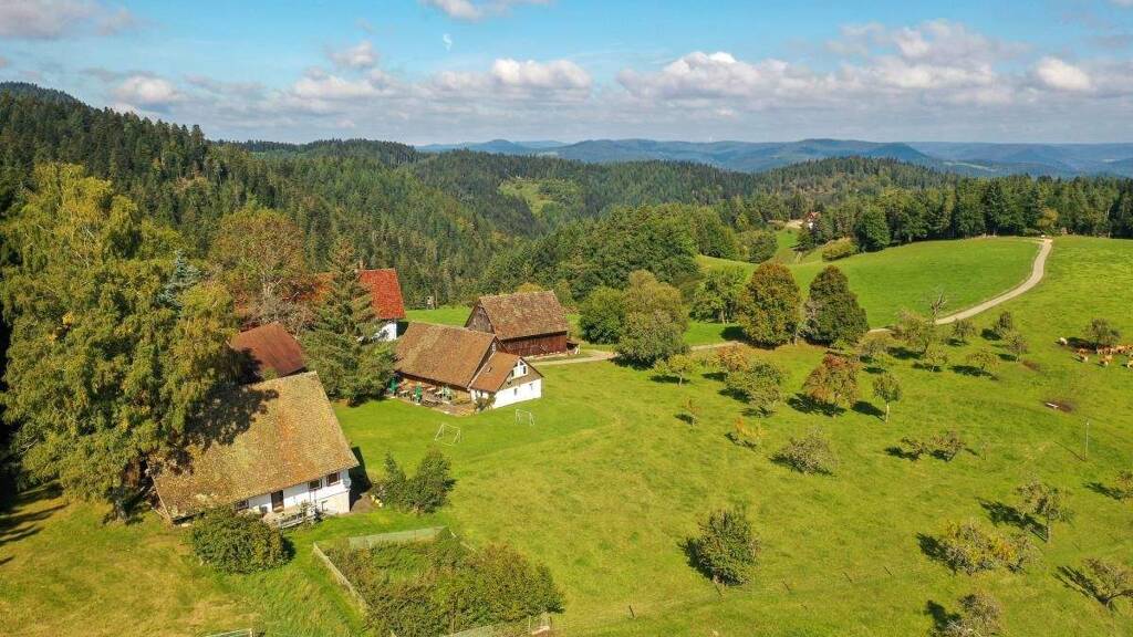 Haus zum Kauf 3.450.000 € 4 Zimmer 876.654 m² Grundstück Schiltach 77761